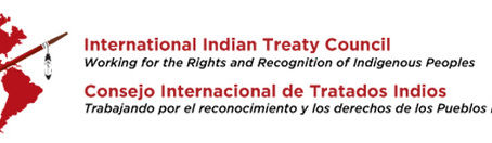 MAYAN ORGANIZATIONS CALL FOR INTERNATIONAL ACTION