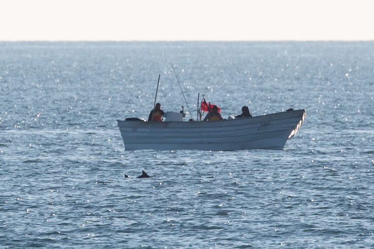 A vaquita swims near a fishing boat using gillnets. Image courtesy of CONANP/Museo de la Ballena/SEA SHEPHERD.