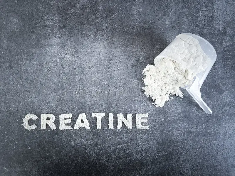 Creatine for Hypermobility + ADHD: Energy and Fatigue Support