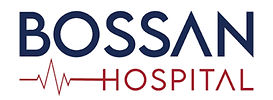 Bossan Logo.jpg
