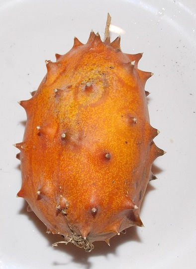 Kiwano