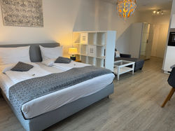 Zimmeransicht des Aparthotel Blue Riverside-Ulm in Blaustein