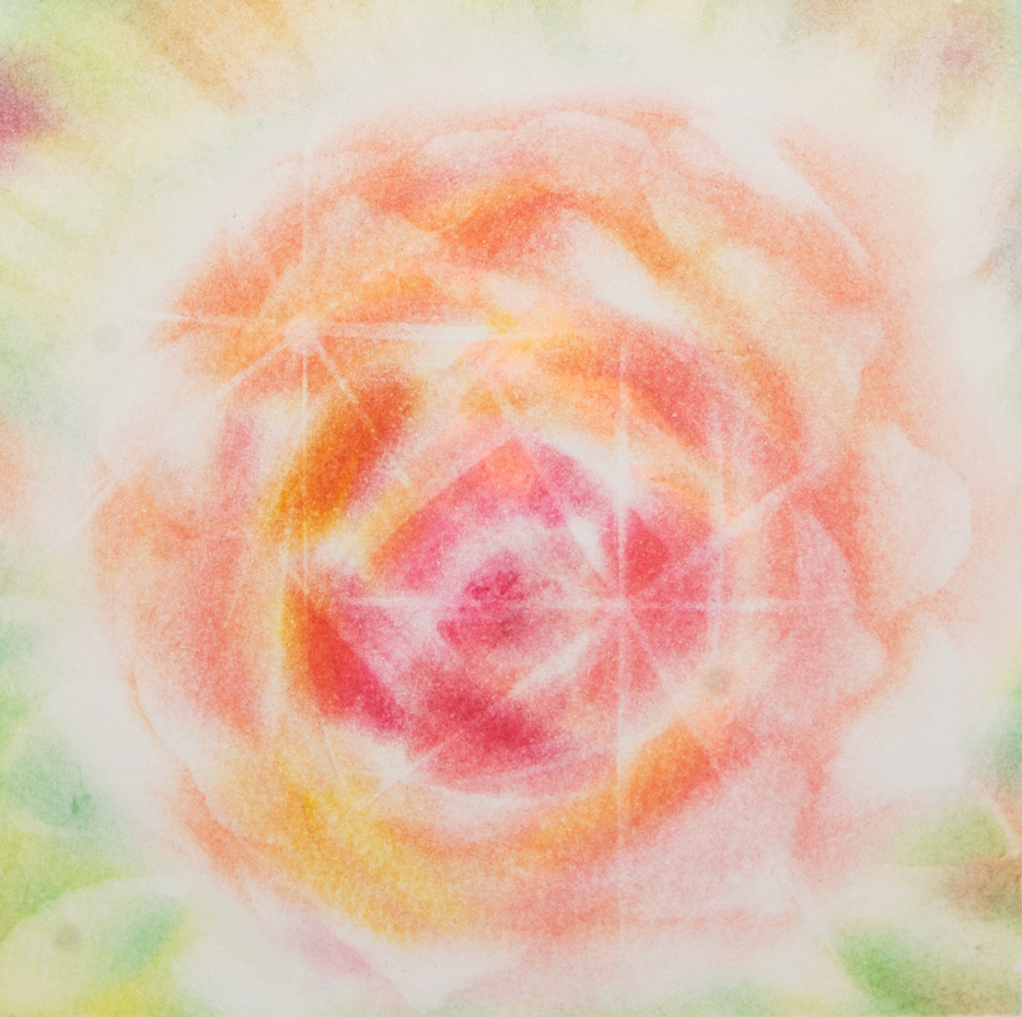 サムネイル： バラ