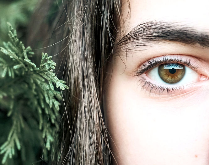 pexels-ebrubodyy-18503422_edited.jpg