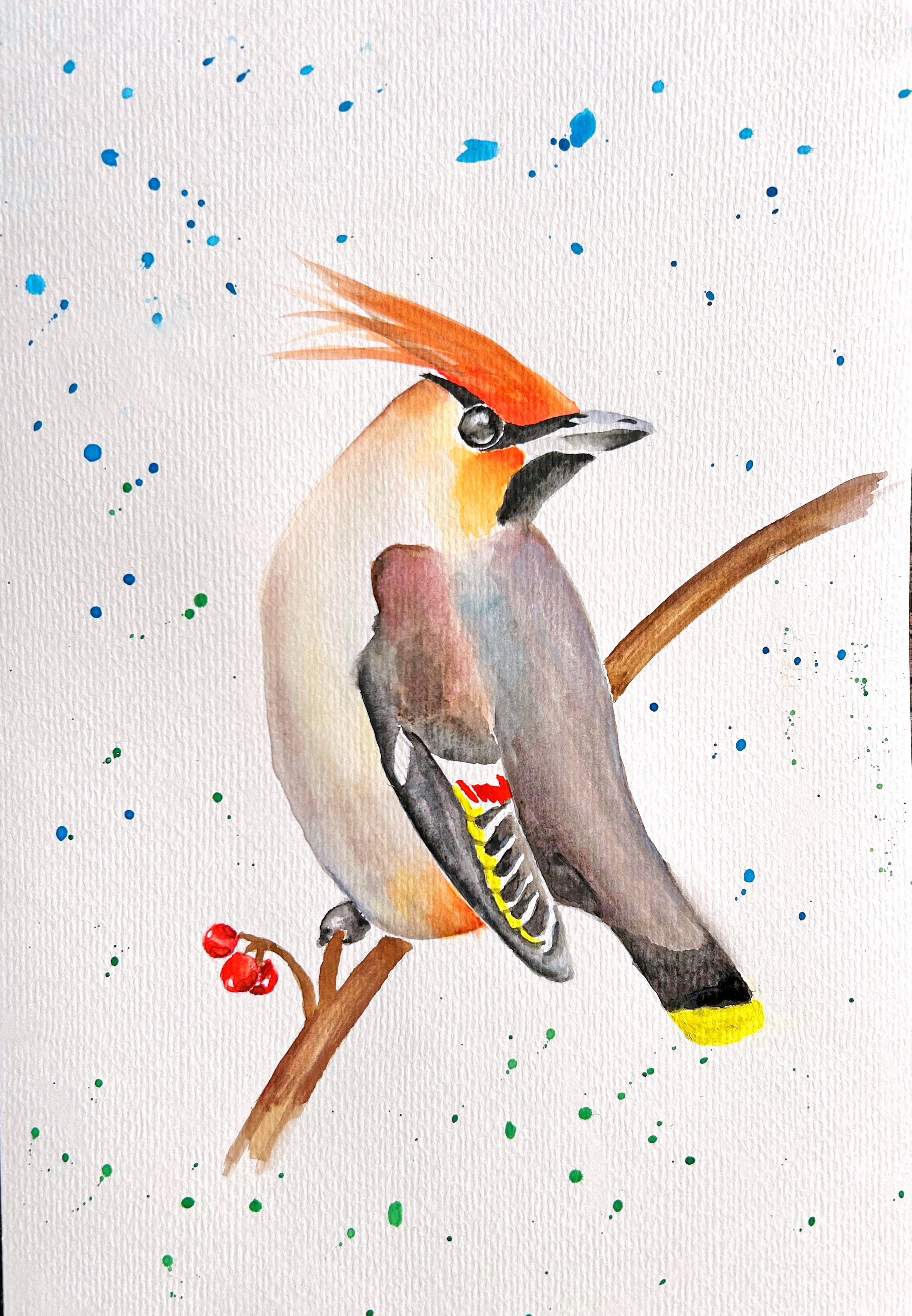 Bohemian Waxwing (Watercolour)