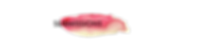 WRITE THE WORLD REVIEW 2019 (1).png