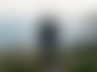 Men's health and prostatitis: the unexplained causes of inflammation and how gut bacteria and stress control male potency