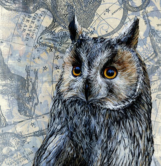 Keith__Inquisitive Owl__9'' x 12''_Mixed Media Painting on Panel.jpg