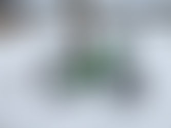 The Stillness in the Burn: What Fat Biking Taught Me About Transformation