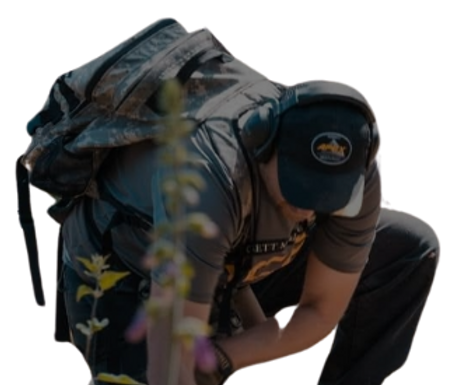 sub detection