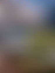 中職投注怎麼看?從先發投手、打線到盤口一次掌握