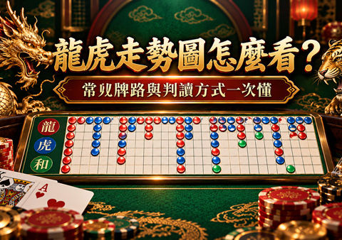 龍虎走勢圖怎麼看?常見牌路與判讀方式一次懂