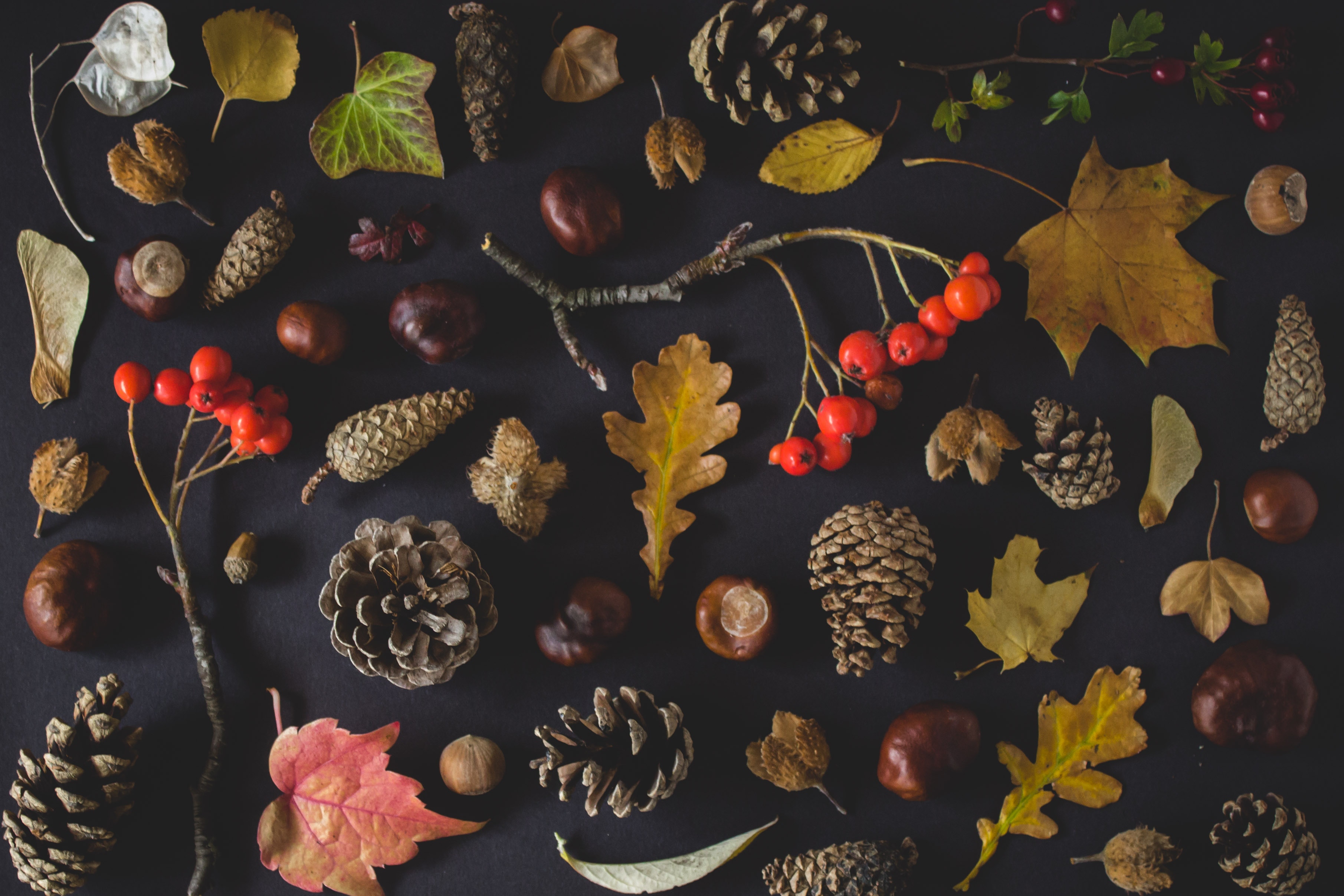Nature and Creativity