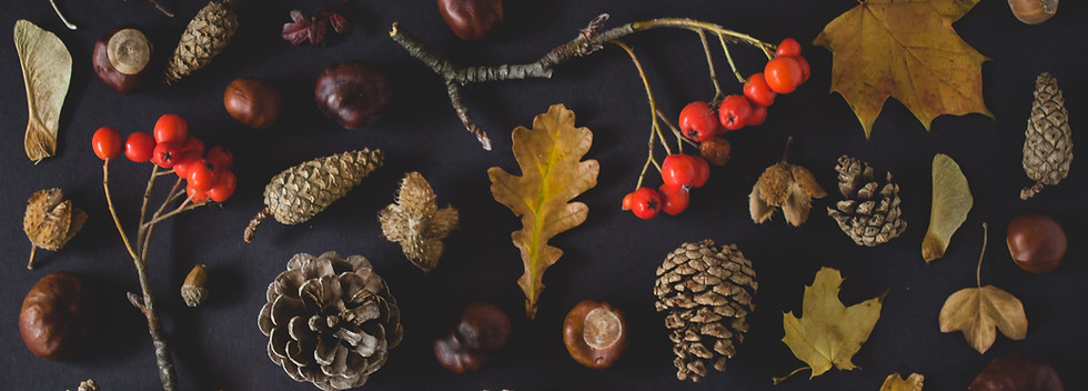 Fall Tokens