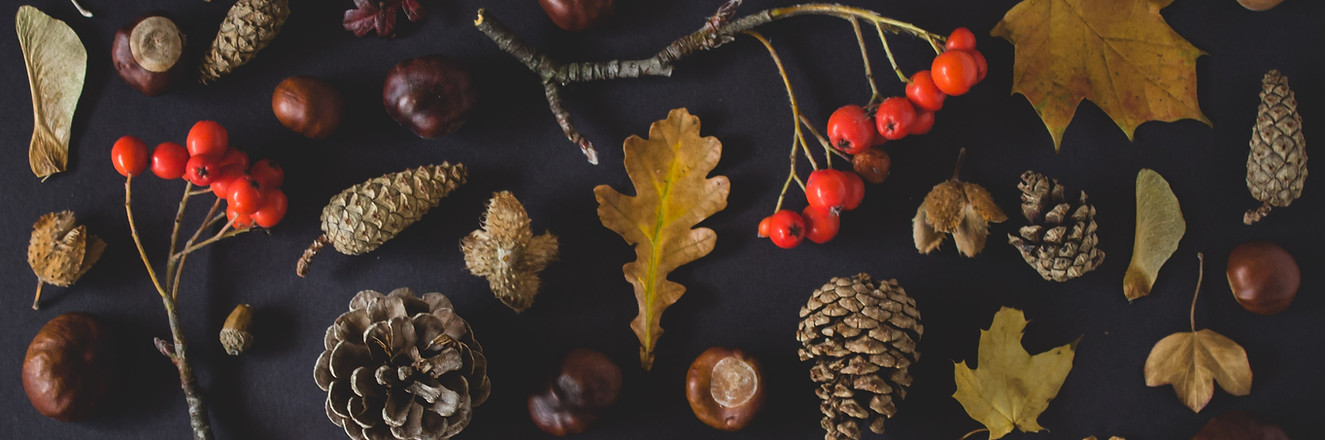 Jetons d'automne