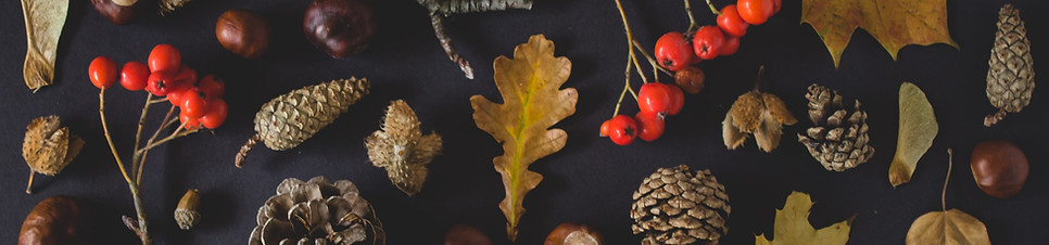 Fall Tokens