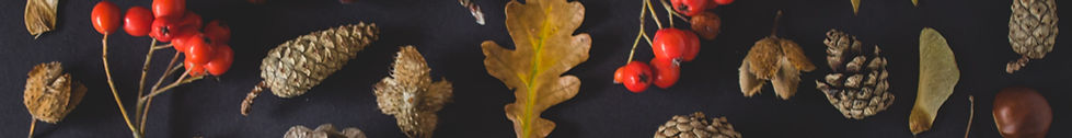 Fall Tokens