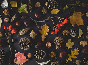 Fall Tokens