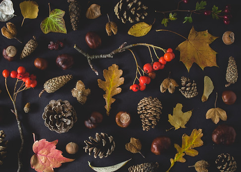 Fall Tokens