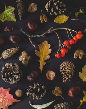 Fall Tokens
