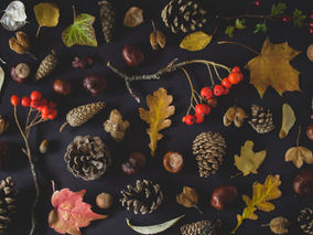 休日診療のお知らせ