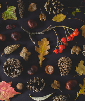 Fall Tokens