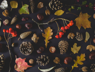 Fall is here! What life colors are you changing?