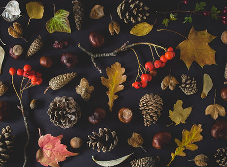 Fall Tokens