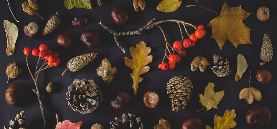 Fall Tokens