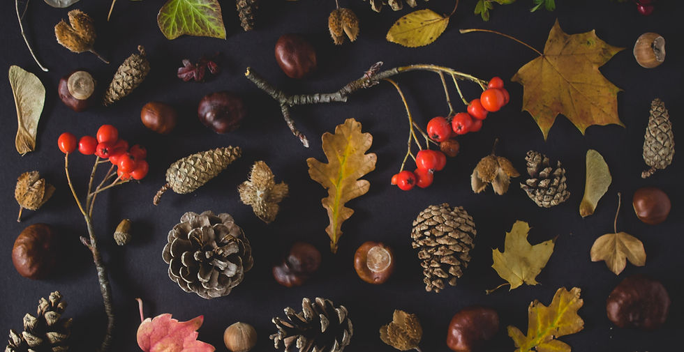Fall Tokens