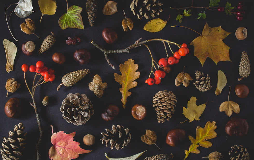 Jetons d'automne