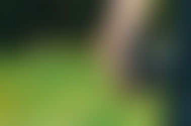 TOP 10 DIGITAL CAMERAS FOR ADJUSTERS