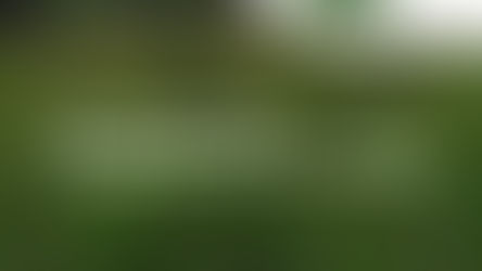 Paspalum de Oro 2026