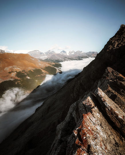 Portrait Inversion.jpg