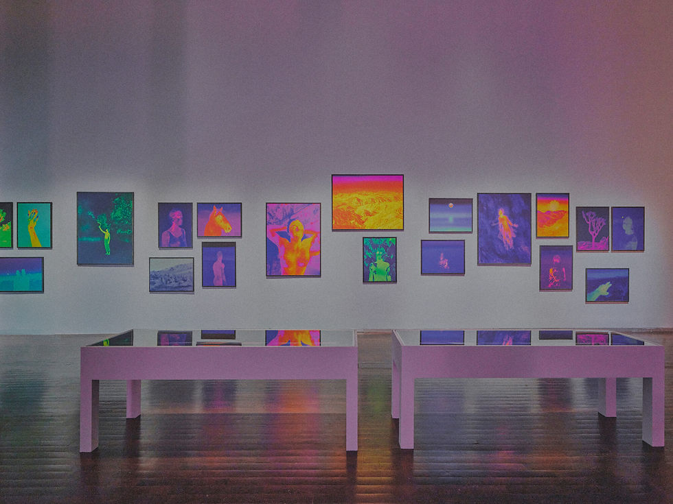 Vue de l’exposition « Ici, grand ouvert » de SMITH, MAC VAL — Musée d’art contemporain du Val-de-Marne, 2026. Photo : Sylvain la Rosa & SMITH.