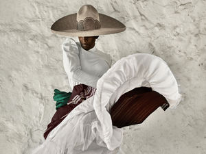 Ayana V. Jackson