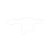 Untitled design (6).png