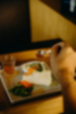 Tapioca de Parmesão, Rúcula, Cream Cheese, Muçarela e Geleia