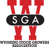 WSGA_logo.png