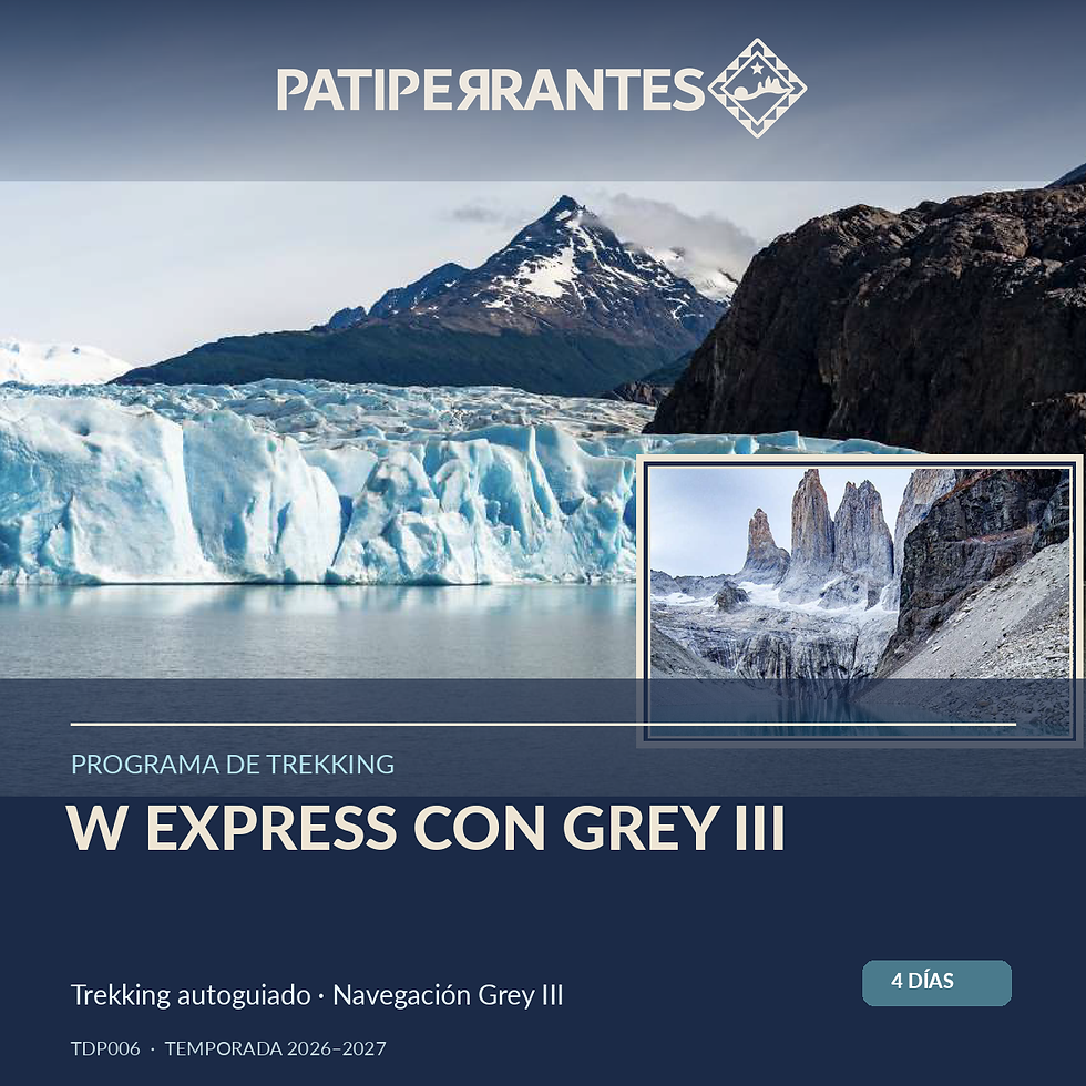 W Express con Grey III