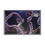 Thumbnail: cool underwater sea creature jigsaw puzzle
