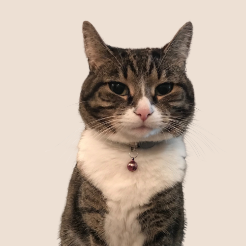 Luna.png