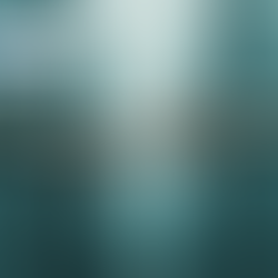 What does good HR support look like?