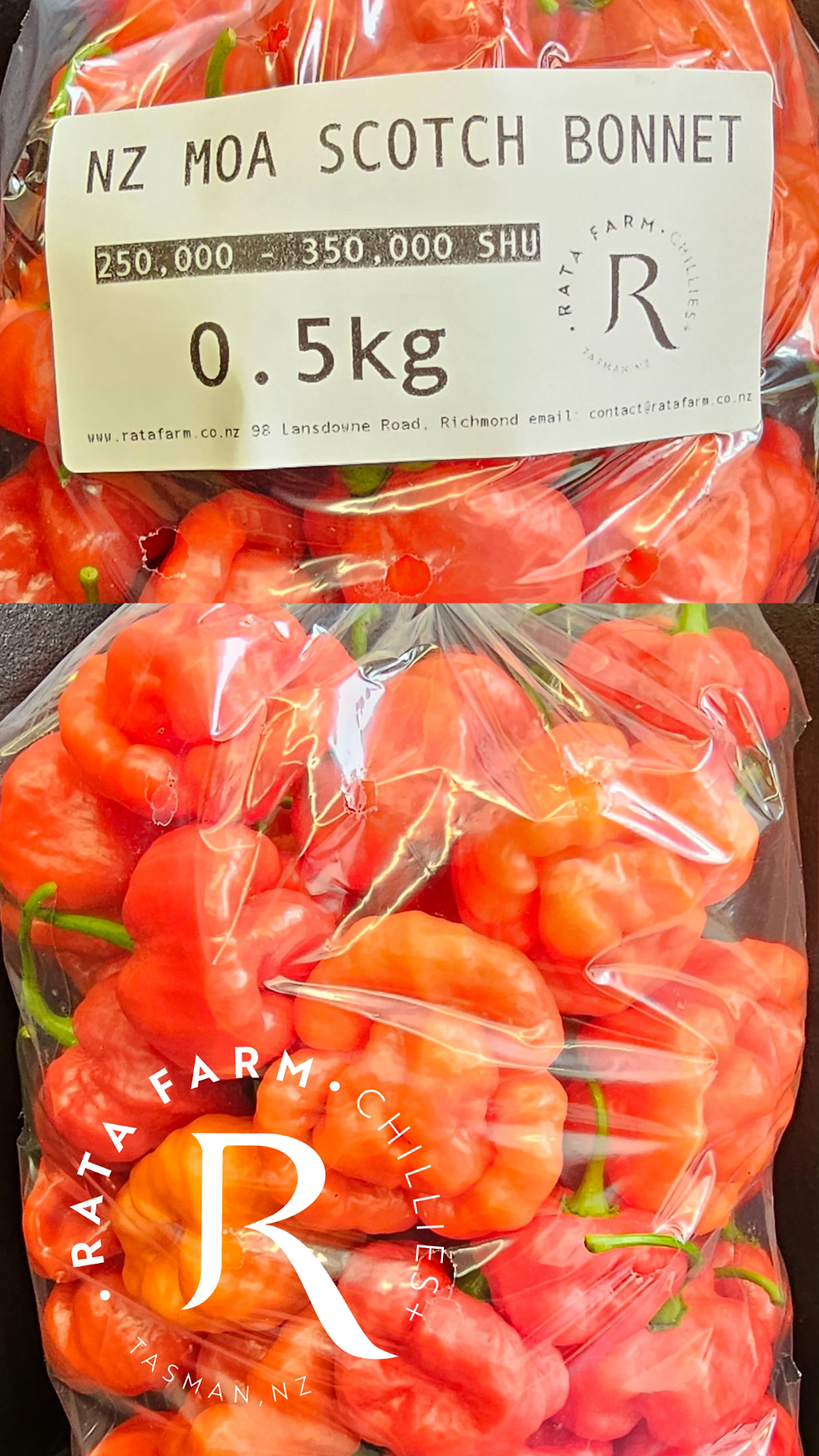 Thumbnail: Scotch Bonnet Seeds