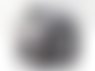 The new ConsigntheWorld website