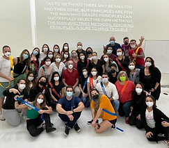 curso mulligan itajai