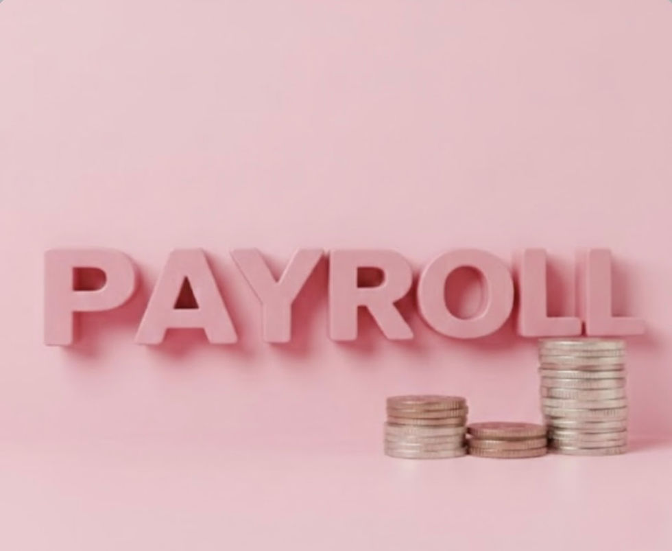 PAYROLL image in bright pink colour with a stack of coins