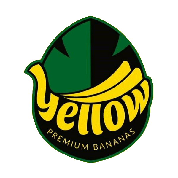 yellow_logo.png