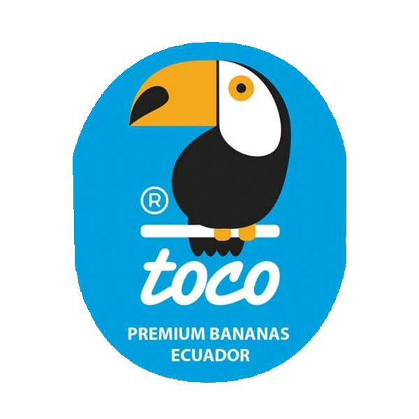 toco_logo.png