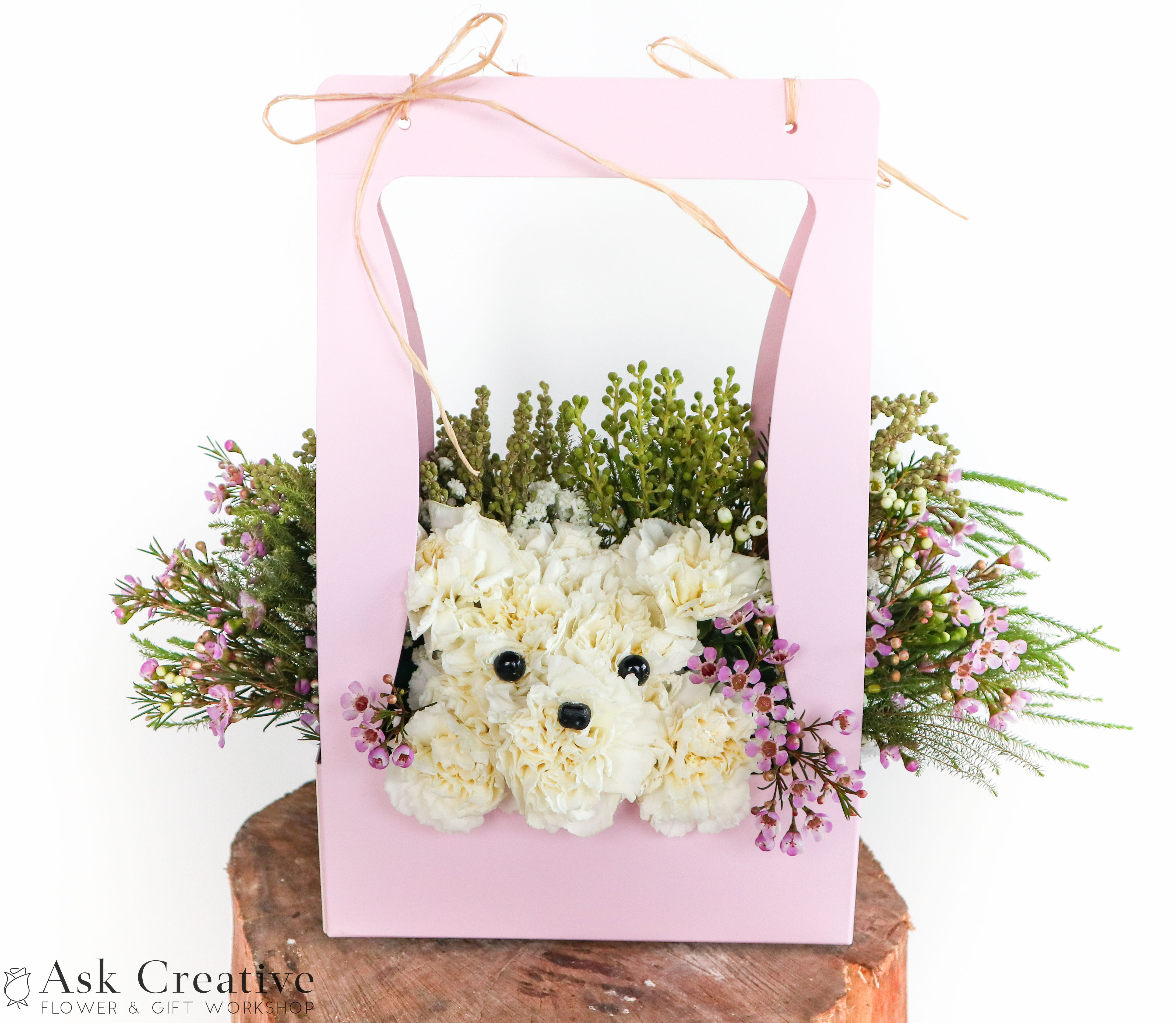 Carnation Puppy - Creme